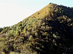 Escursione autunnale sul Monte Gioco con gli amici del gruppo " FLORA ALPINA BERGAMASCA " - 5 ott. 08- FOTOGALLERY